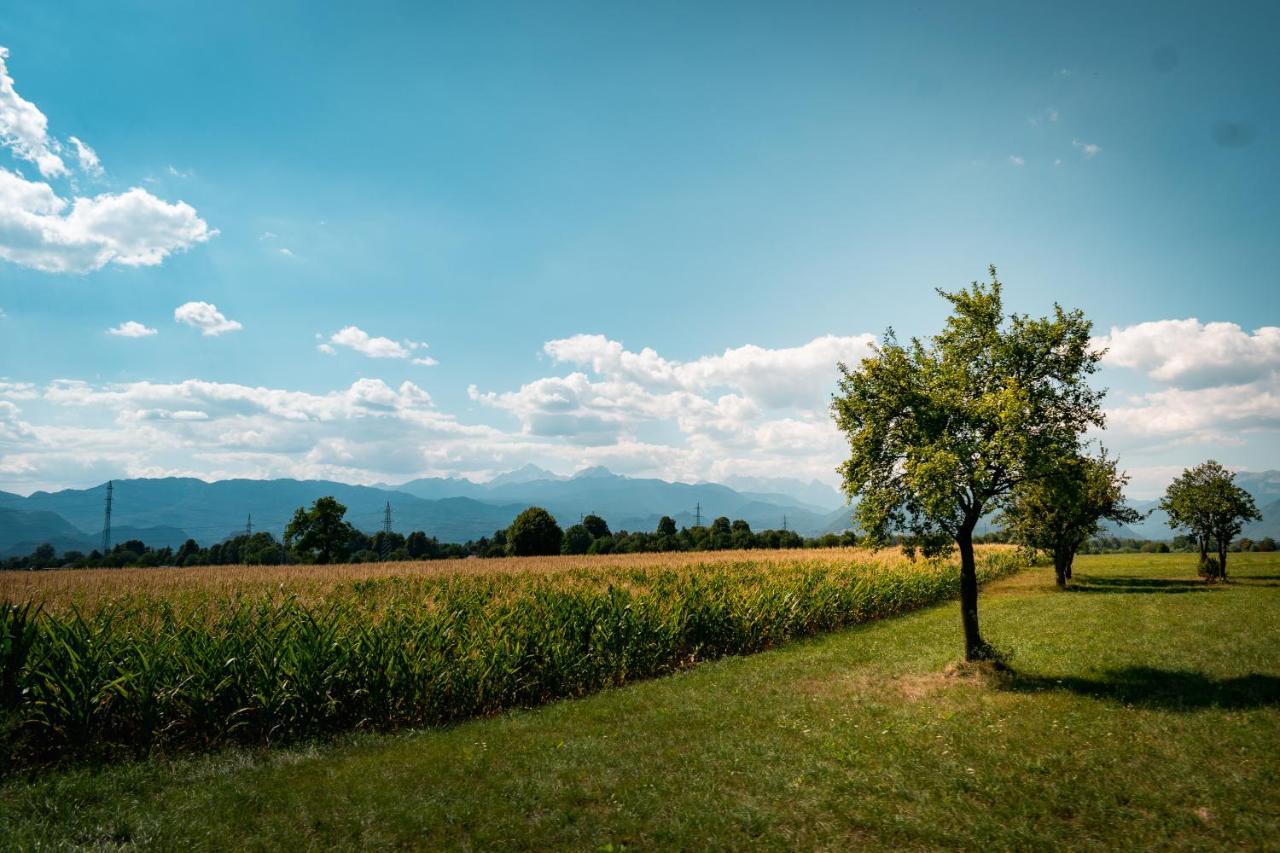 Prima Countryside Apartments Zirovnica ภายนอก รูปภาพ