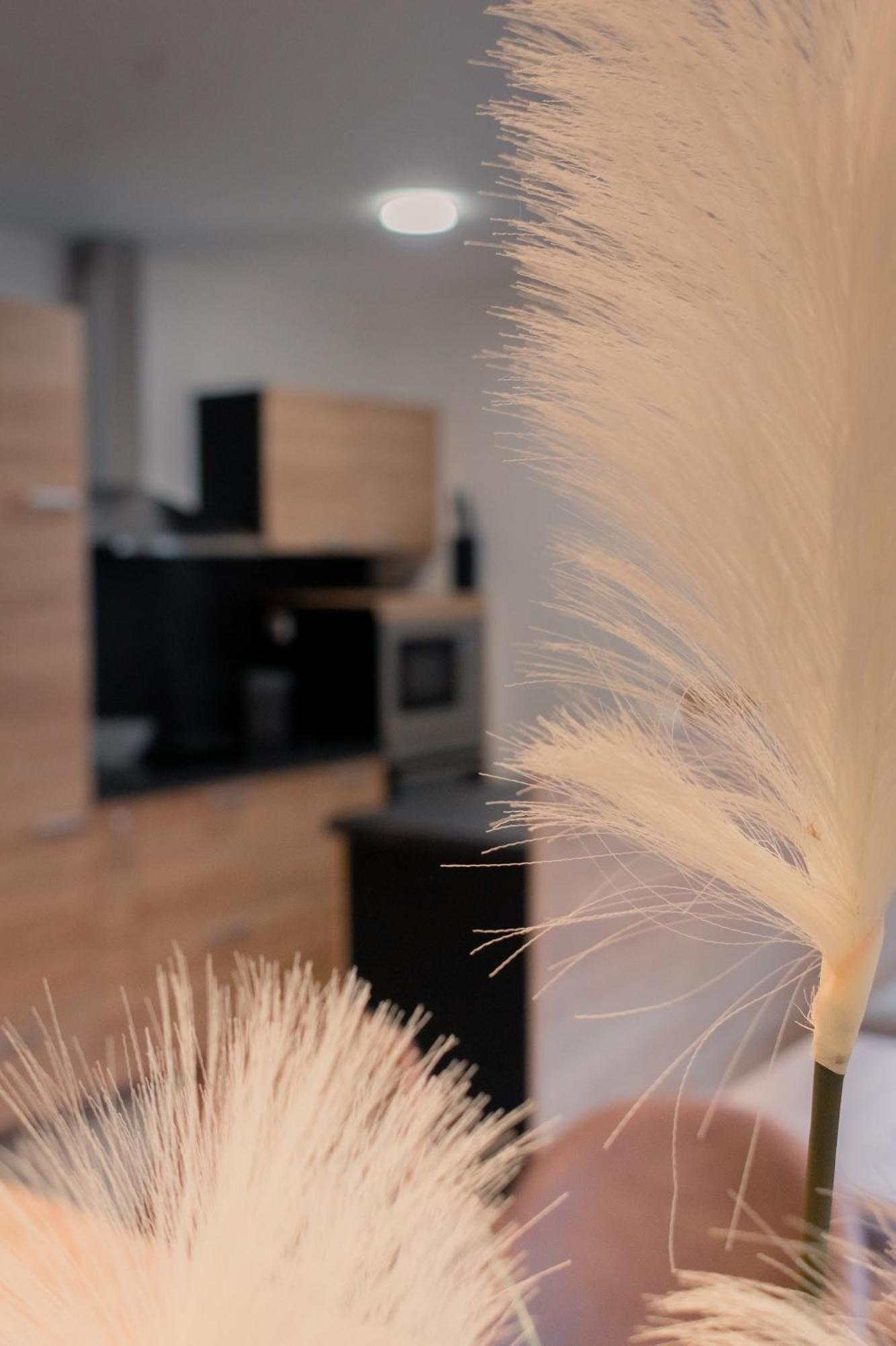 Prima Countryside Apartments Zirovnica ห้อง รูปภาพ